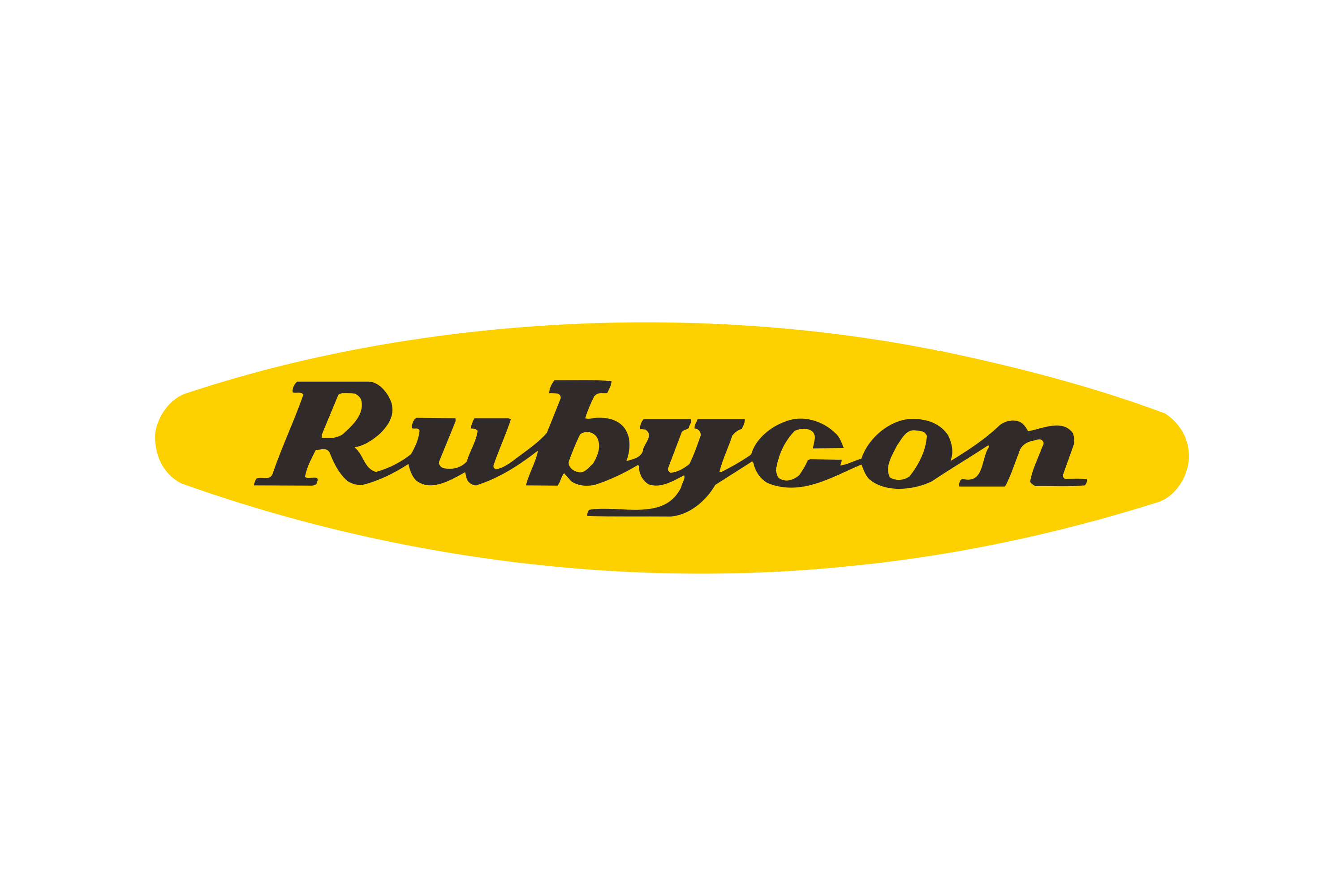 PT Rubycon Indonesia